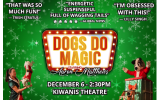Dogs Do Magic: A Canine Christmas