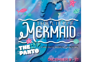 The Little Mermaid: The Panto