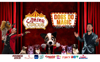 The Canine Circus: Dogs Do Magic starring Aaron Matthews