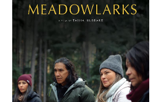 Fine Films March - MEADOWLARKS