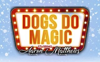 Dogs Do Magic: A Canine Christmas