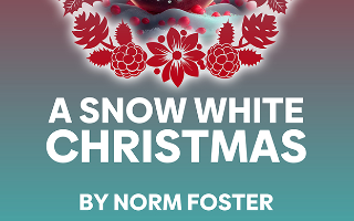 A Snow White Christmas