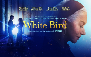 White Bird
