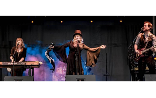 FLEETWOOD MAC MANIA