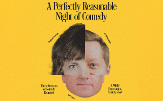 A Perfectly Reasonable Night of Comedy