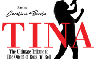 TINA The Ultimate Tribute to the Queen of Rock 'n' Roll