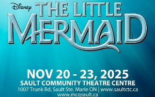 Disney's The Little Mermaid