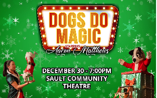 Dogs Do Magic: A Canine Christmas